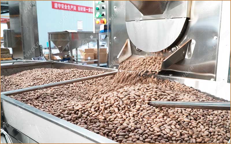 Quelle Est Le Processus De Transformation Du Cacao En Usine