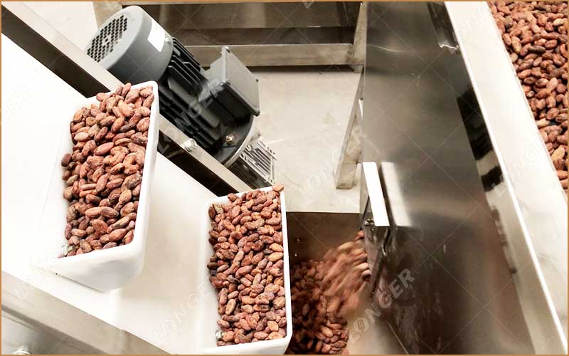 Industrie Du Cacao Au Cameroun