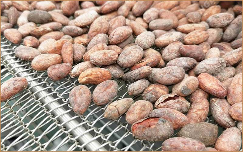 Importance De La Torréfaction Lors Du Traitement Du Cacao