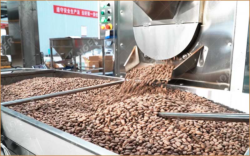 Pourquoi Torréfier Le Cacao Pendant Le Traitement Du Cacao