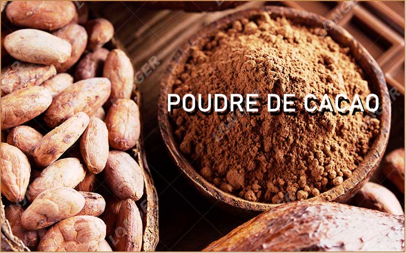 Poudre De Cacao
