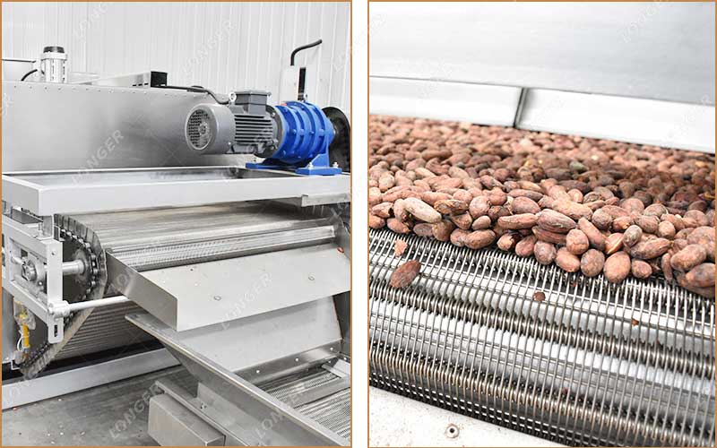 Torréfacteur De L’Usine De Traitement De Poudre De Cacao
