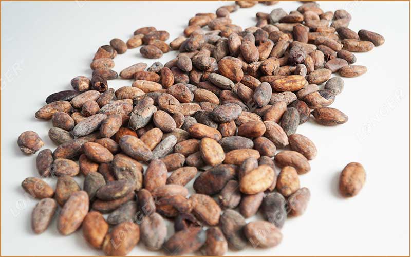 Les Fèves De Cacao