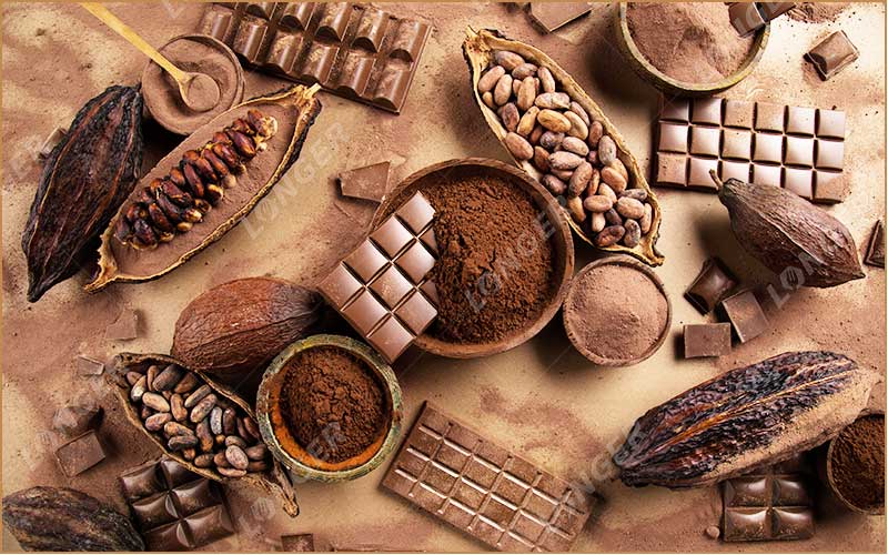 Les Entreprises De Transformation Du Cacao Dans Le Monde