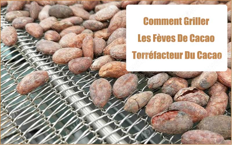 Comment Griller Les Fèves De Cacao Dans L'Usine