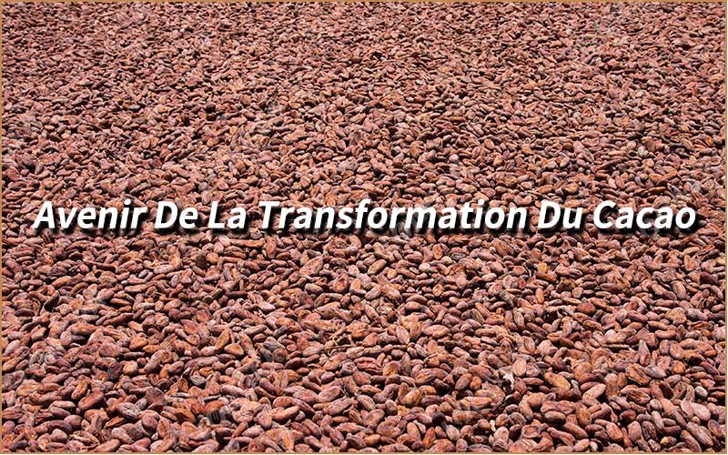 Avenir De La Transformation Du Cacao En Côte D'Ivoire