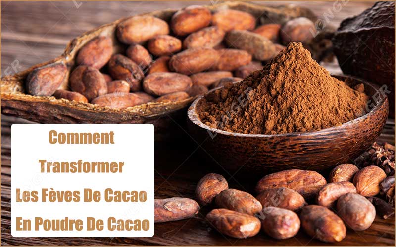 Comment Transformer Les Fèves De Cacao En Poudre De Cacao