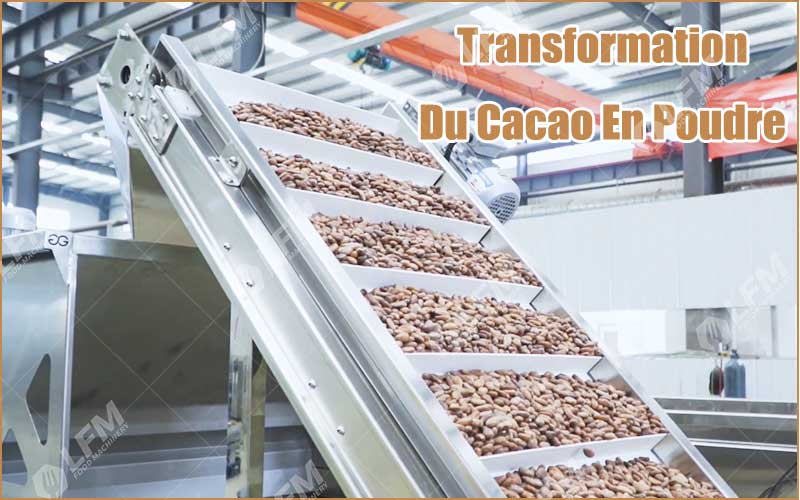 Transformation Du Cacao En Poudre