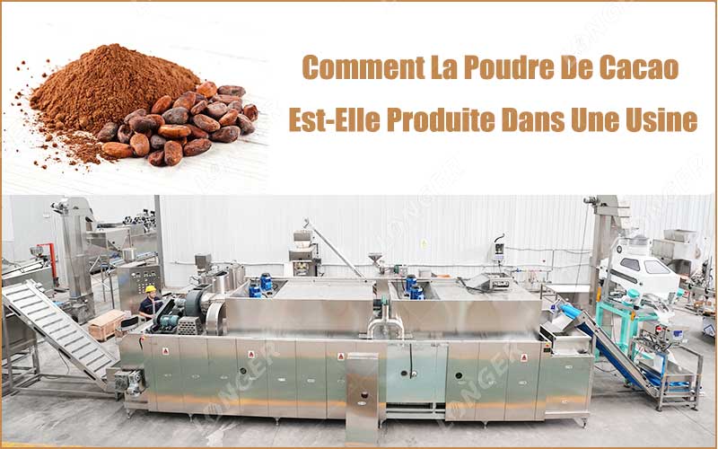 Comment La Poudre De Cacao Est-Elle Produite Dans Une Usine