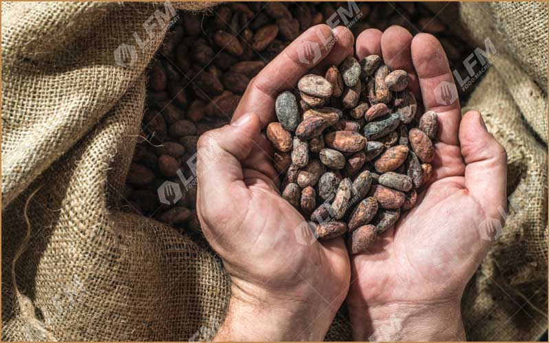 Ouvrir Une Usine De Cacao En Côte D'Ivoire
