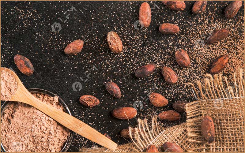Principaux Pays Producteurs De Fèves De Cacao Au Monde