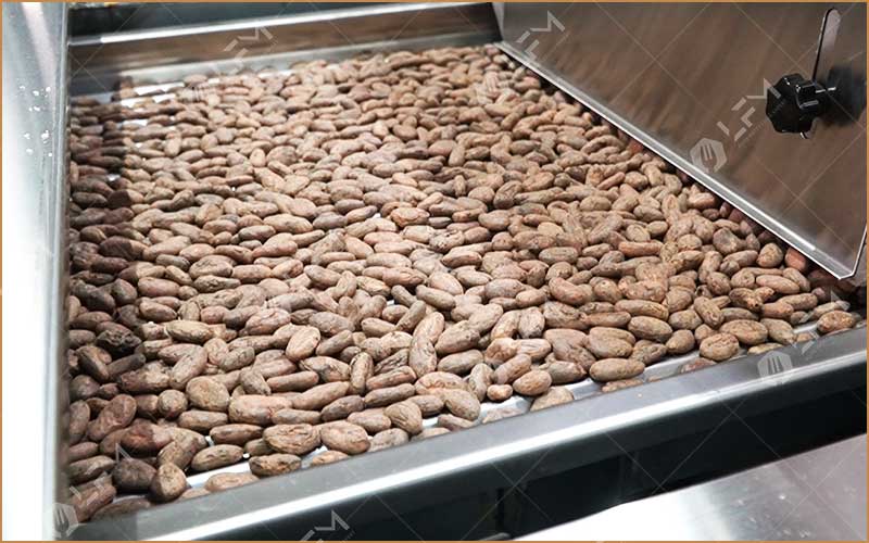 Comment Démarrer Entreprise De Transformation Du Cacao
