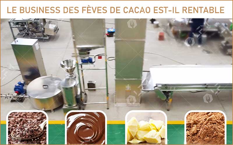 Le Business Des Fèves De Cacao Est-Il Rentable