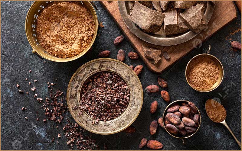 Technologie De Transformation Du Cacao