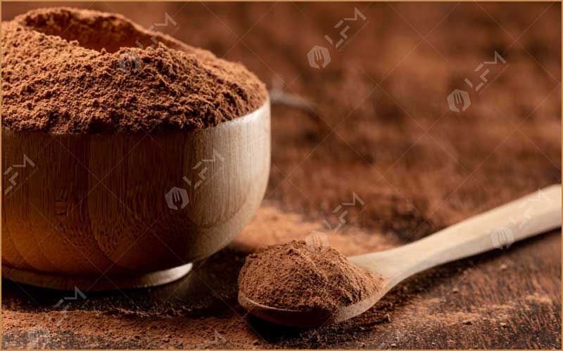 Quelle Est La Technologie De Transformation Du Cacao En Poudre