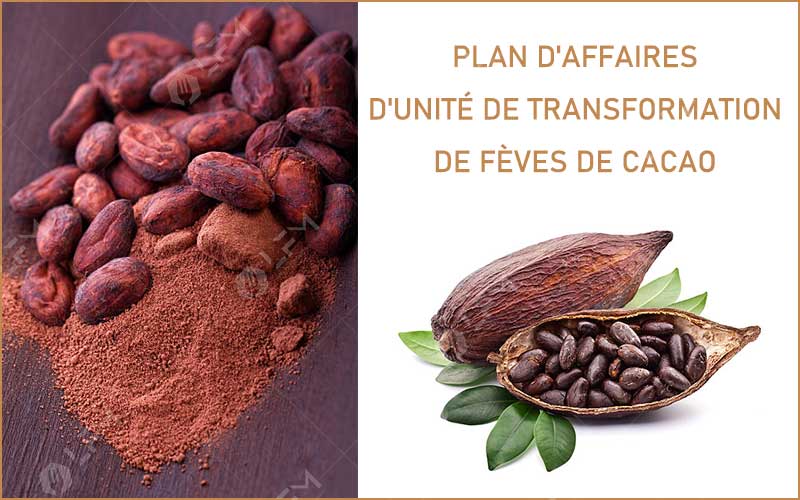 Plan D'Affaires D'Unité De Transformation De Fèves De Cacao