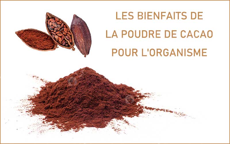 Les Bienfaits De La Poudre De Cacao Pour L'Organisme