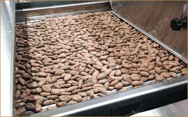 Quels Sont Les Bienfaits Du Cacao Grillé